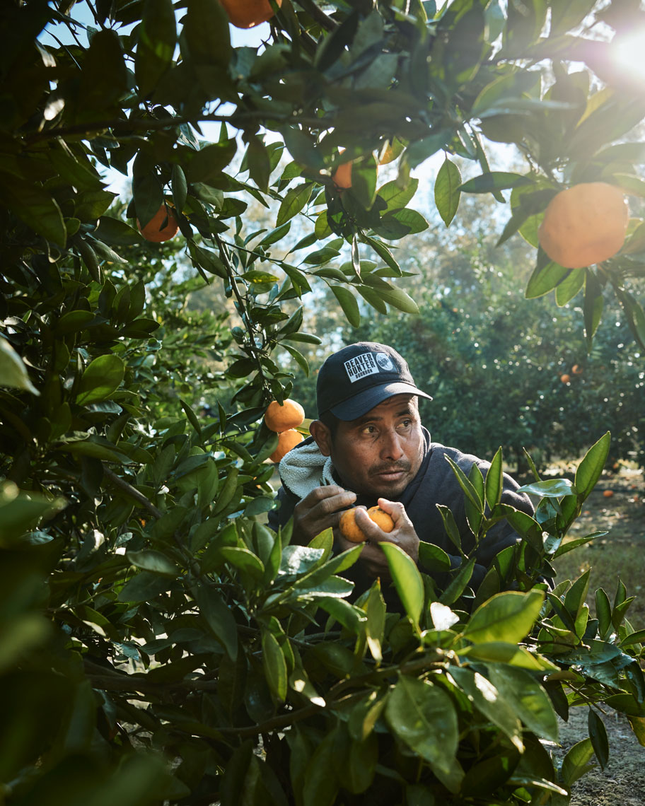 11-CITRUS-FLA-GA-Citrus-0842