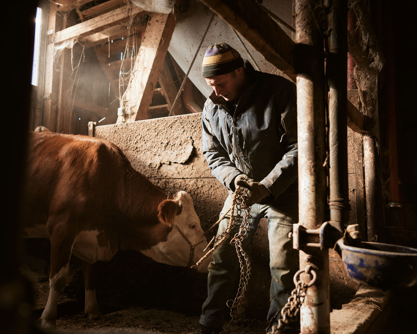 22-DAIRY-Austria-07017